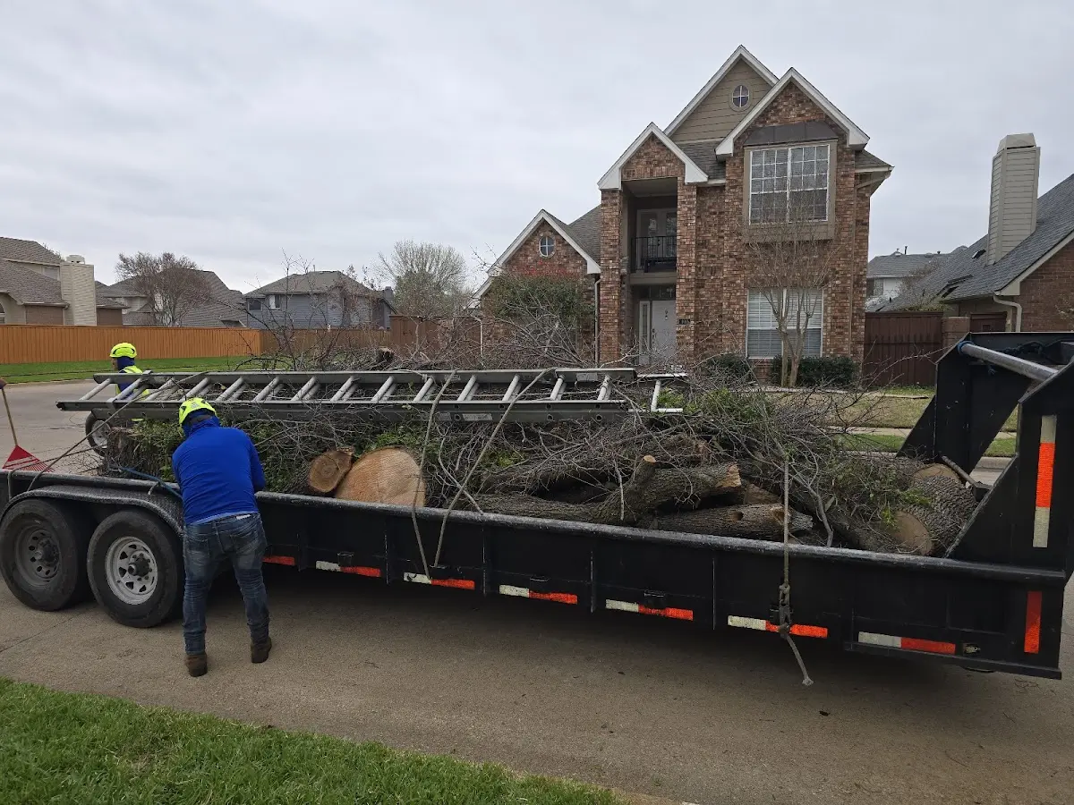Expert Tree Fertilization with proper safety equipment in Hartland